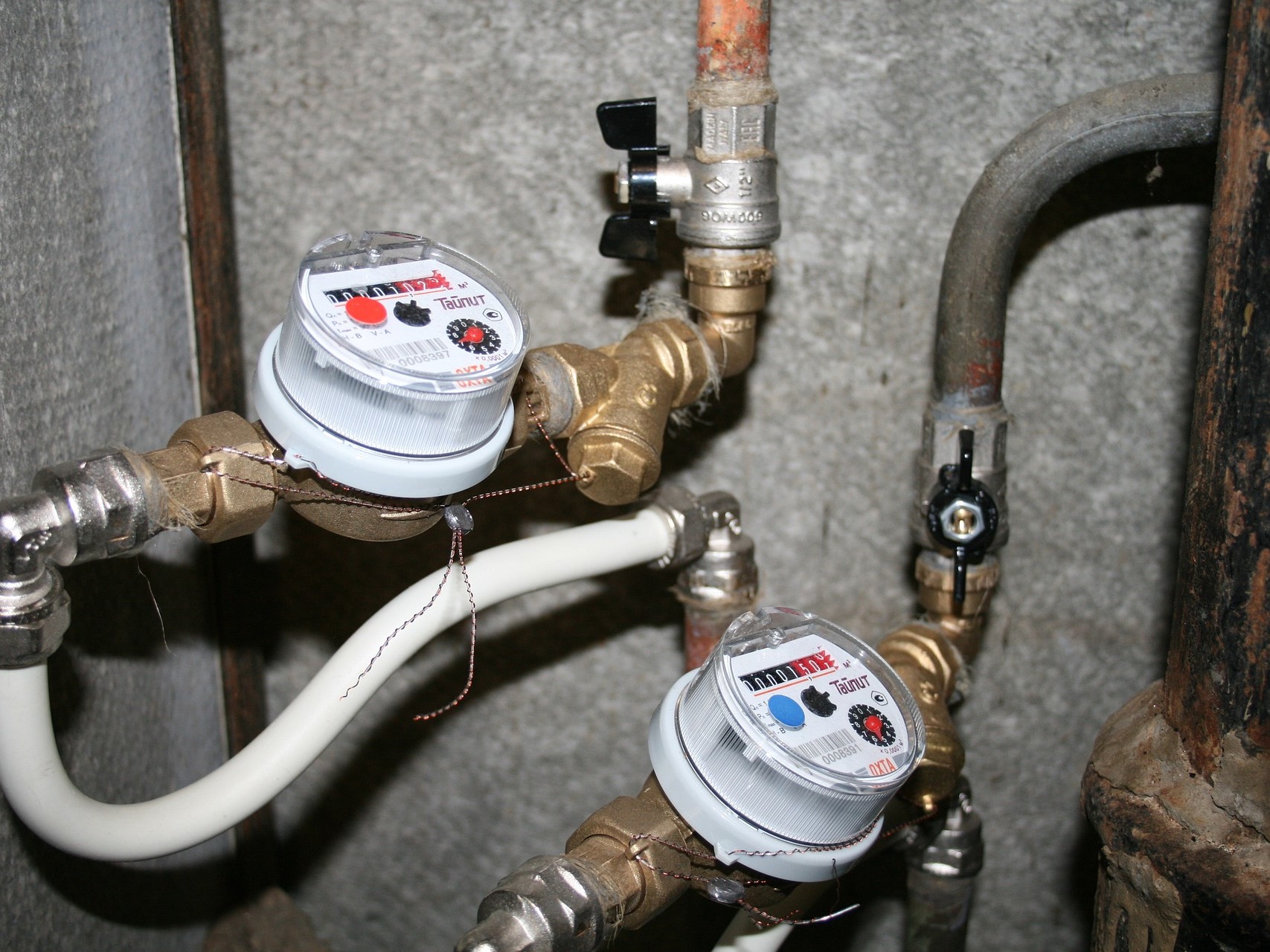 Image by delo from Pixabay